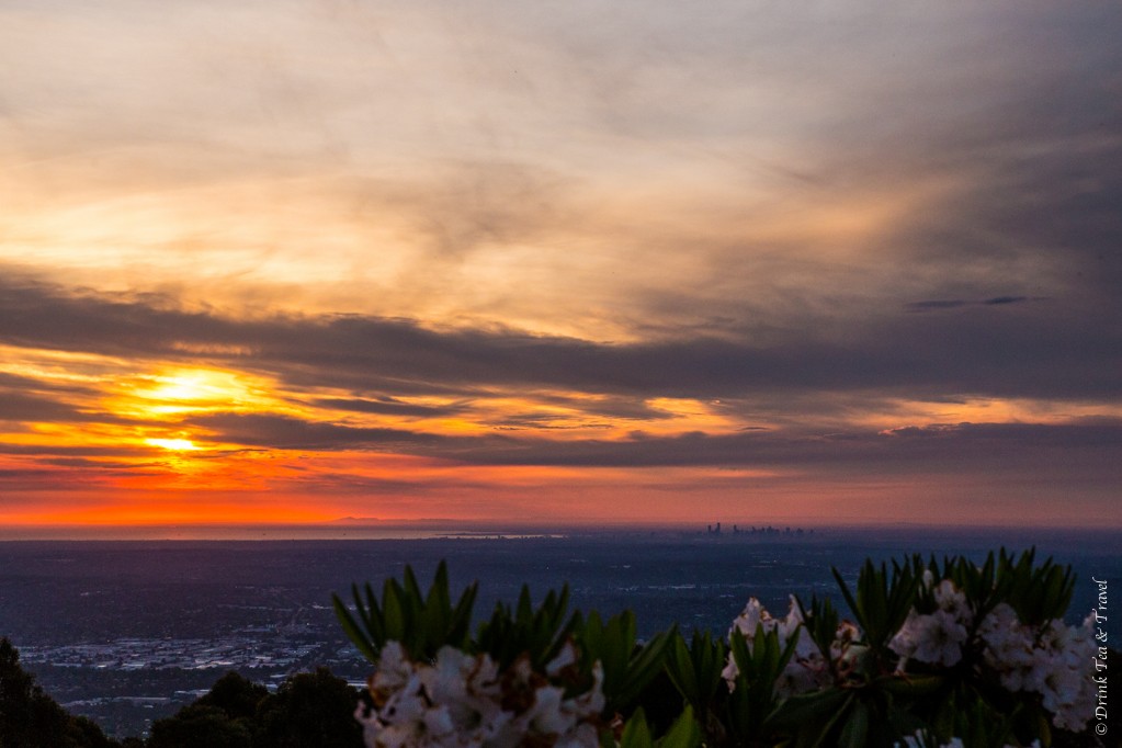 Trip to Australia cost: Sun setting over Melbourne. View from Mt Dandenong