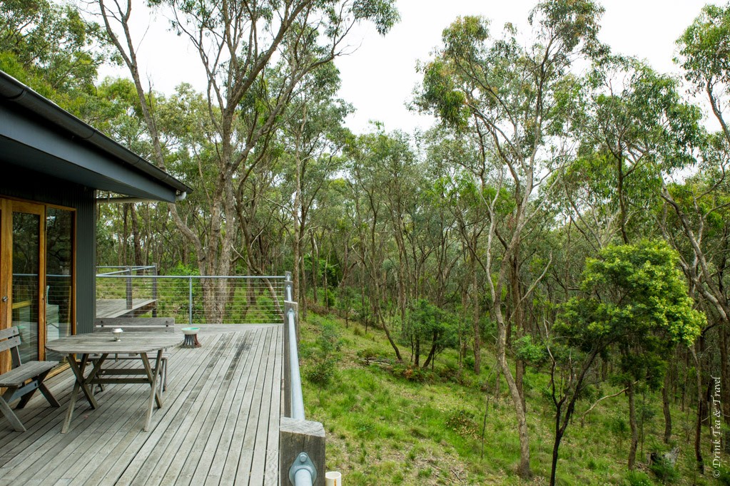 Our deck looked out onto a beautiful forest