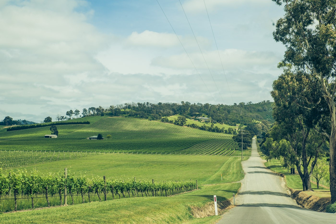 10 Best Things to do in Yarra Valley, Australia