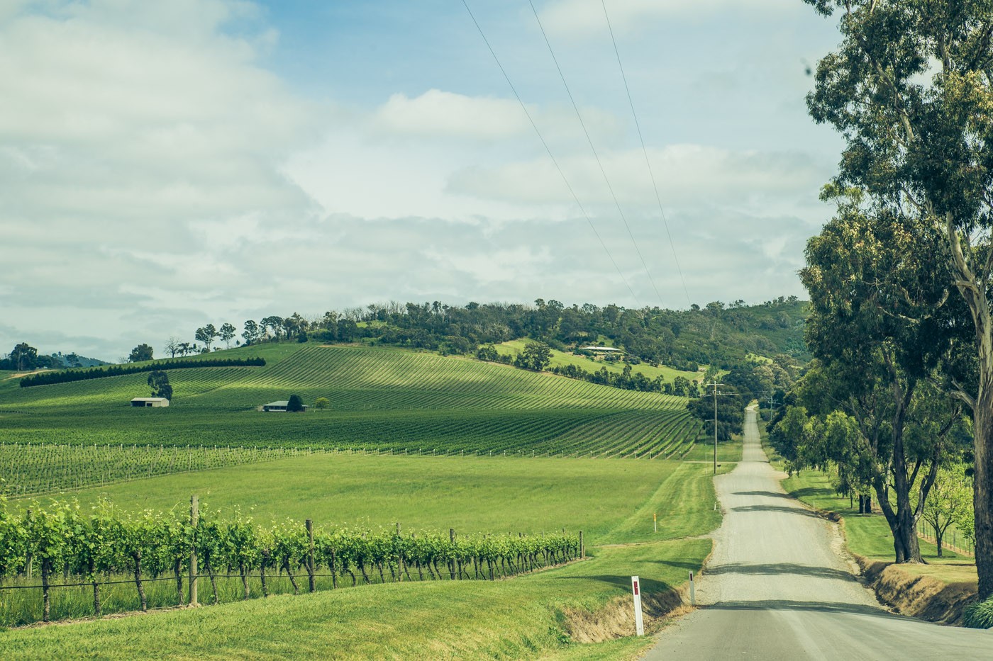 10 Reasons Why Yarra Valley Is Worth a Visit