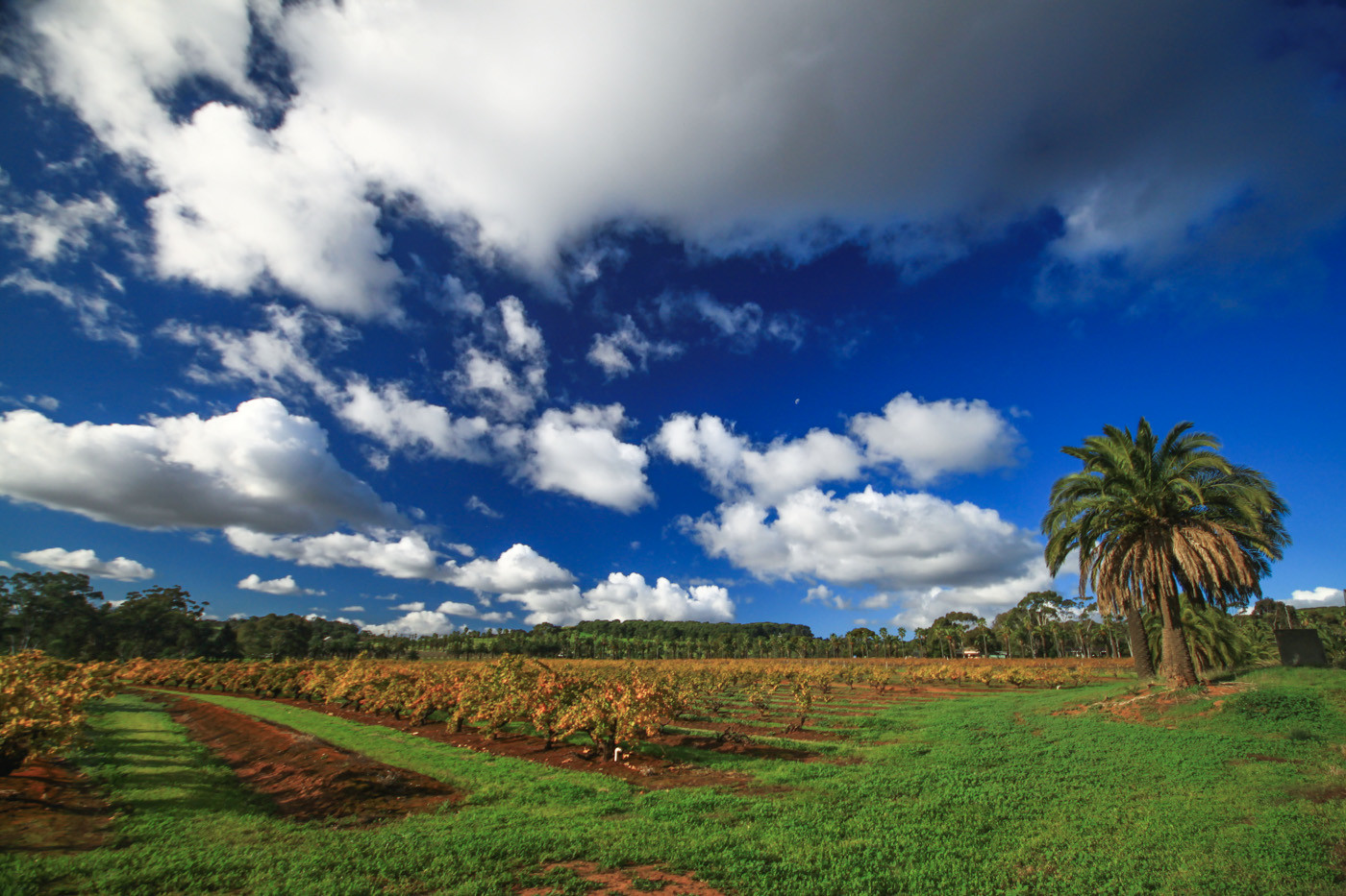 Barossa Valley, South Australia