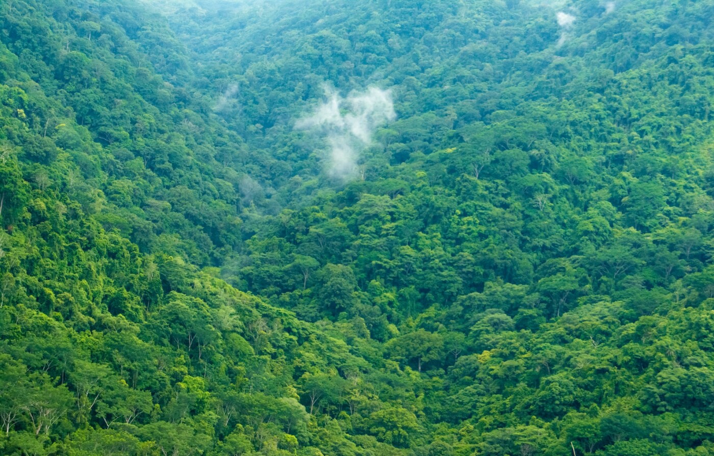 Bijagual Carara National Park