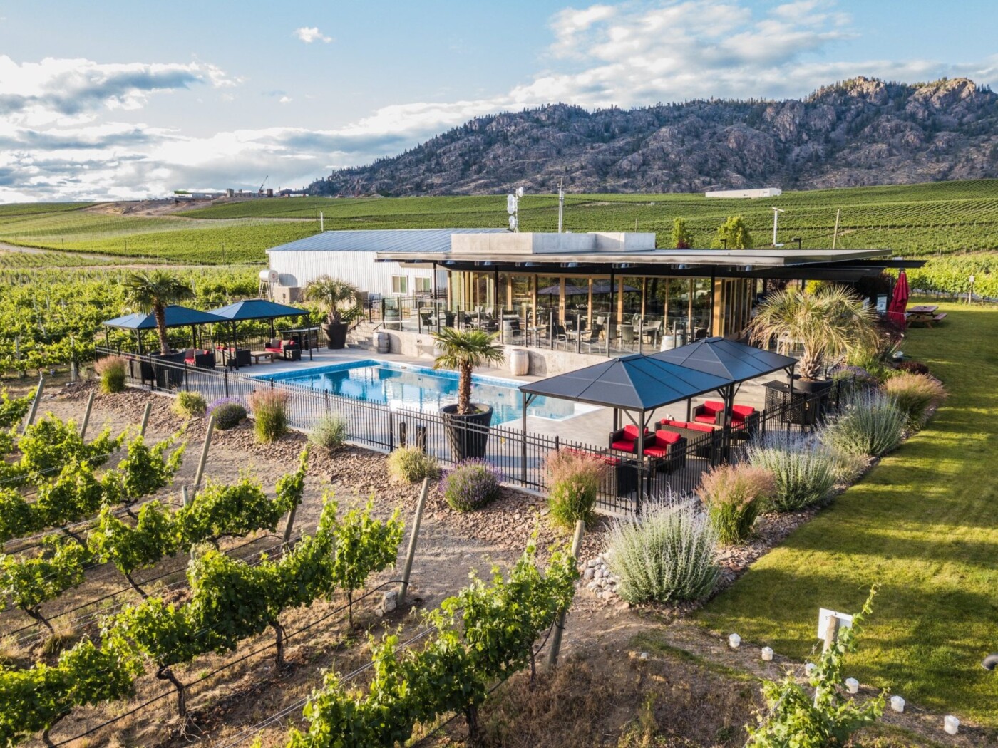 10 Best Wineries In Osoyoos, British Columbia | Drink Tea & Travel