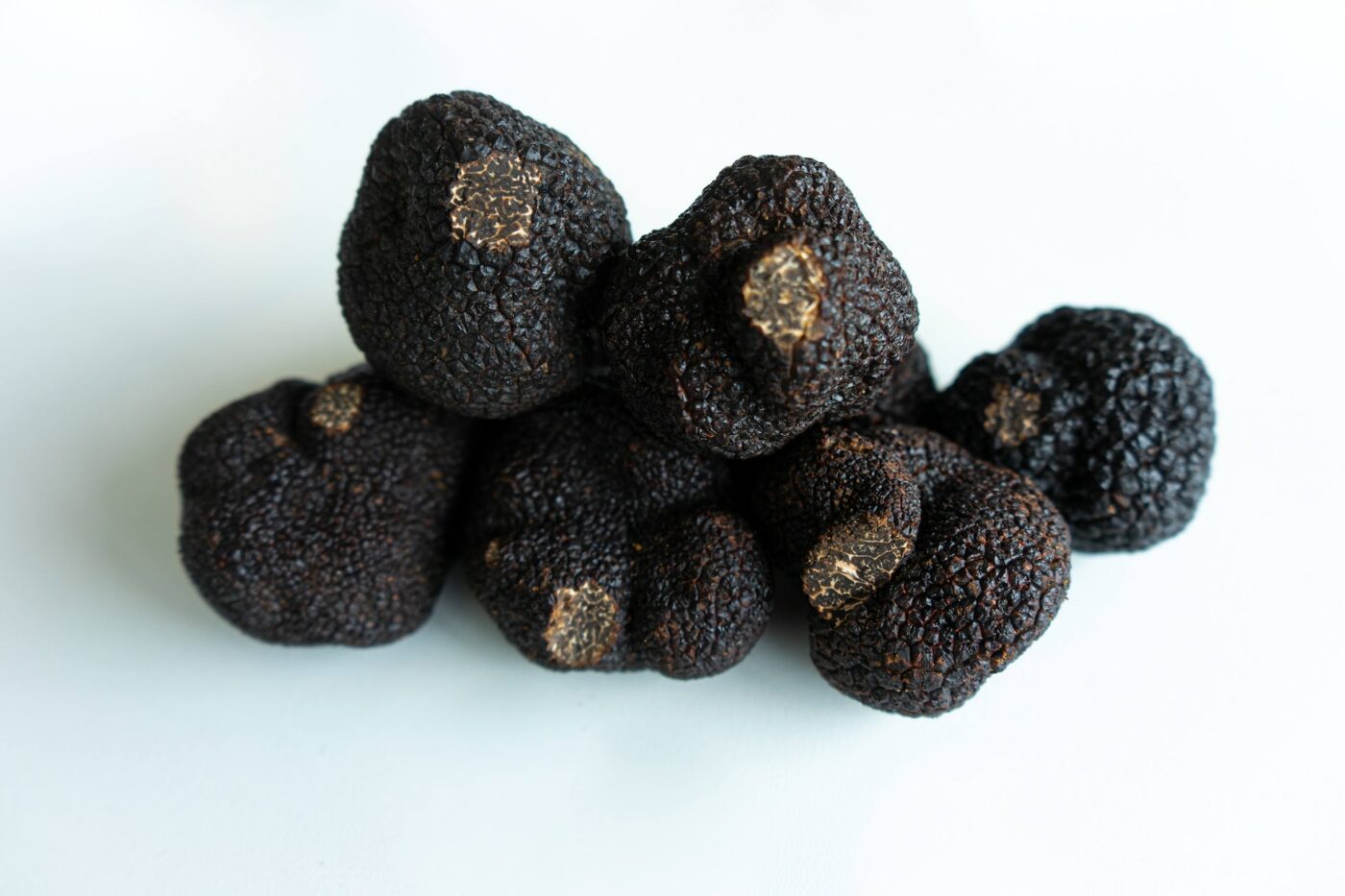 Black truffle