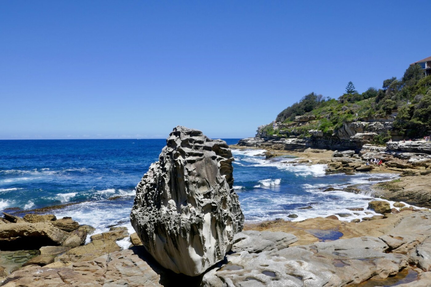 local tips for Sydney, Bondi to Coogee Walk