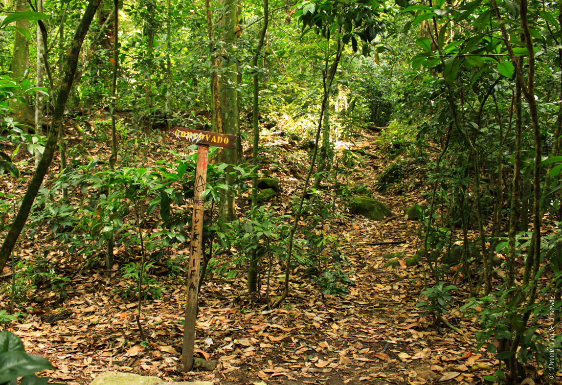 Signs along the trail to Corcovado