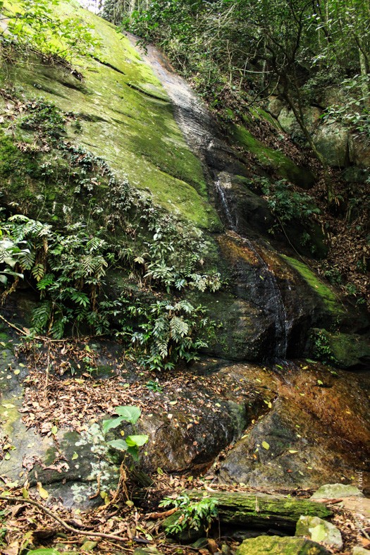 Another waterfall along the trail to Corcovado