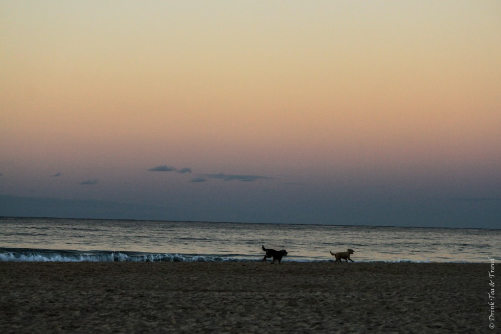 Pink hues over the ocean in Byron Bay