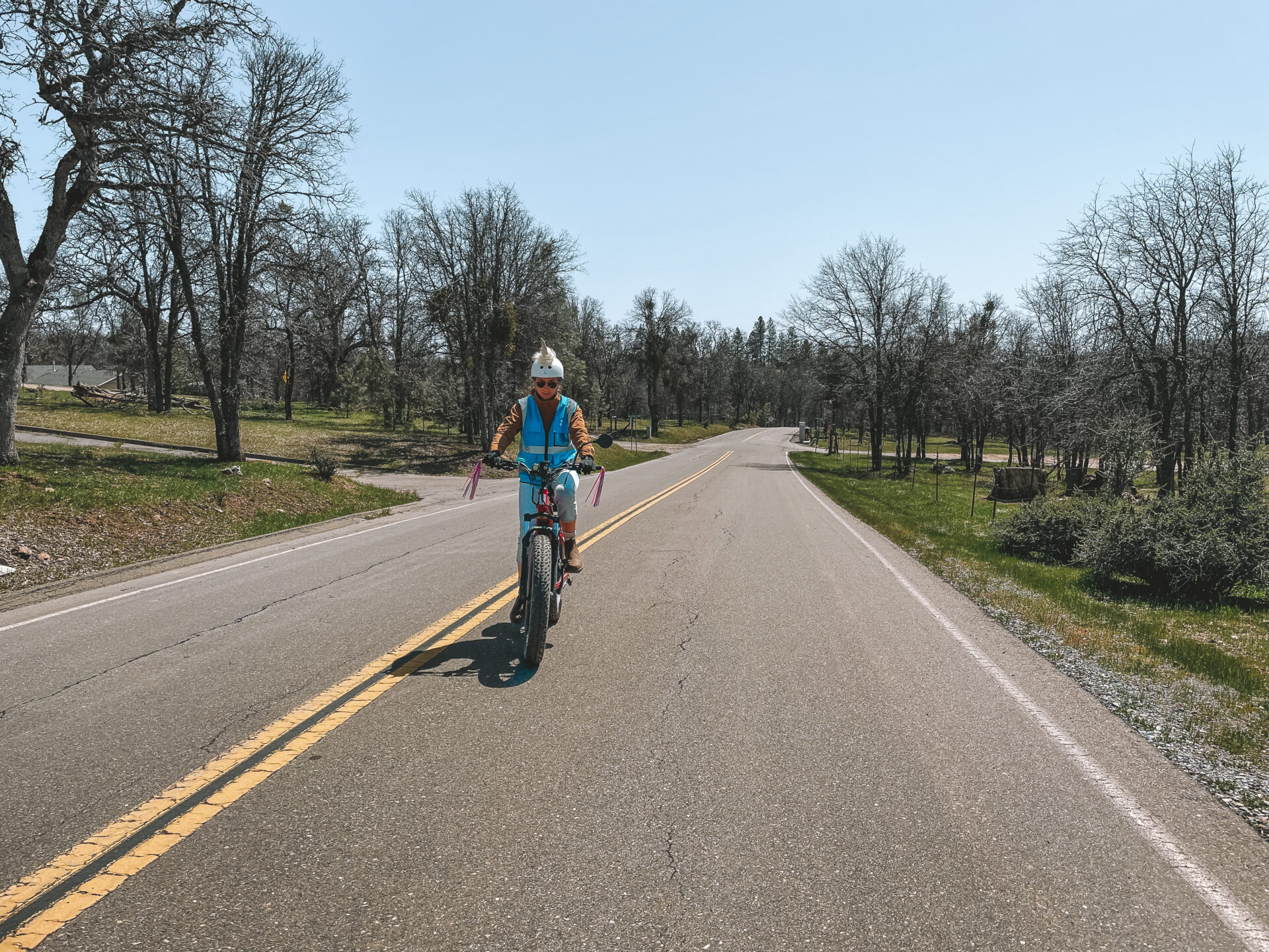 California Yosemite Mariposa County bike 2941