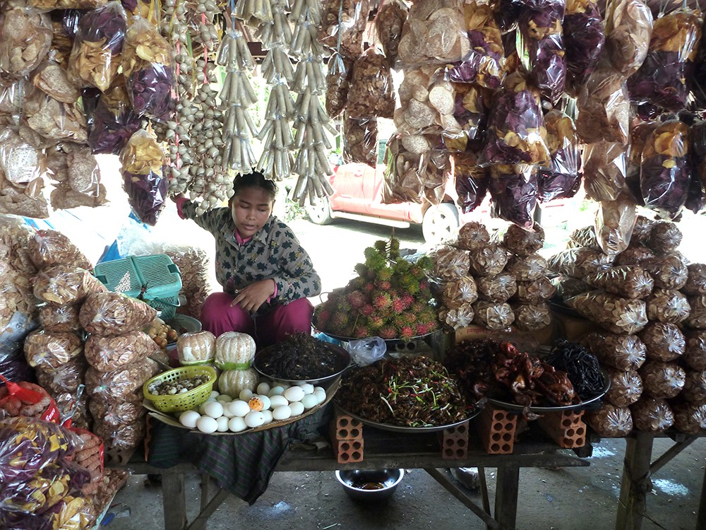Cambodia Street Food Stall