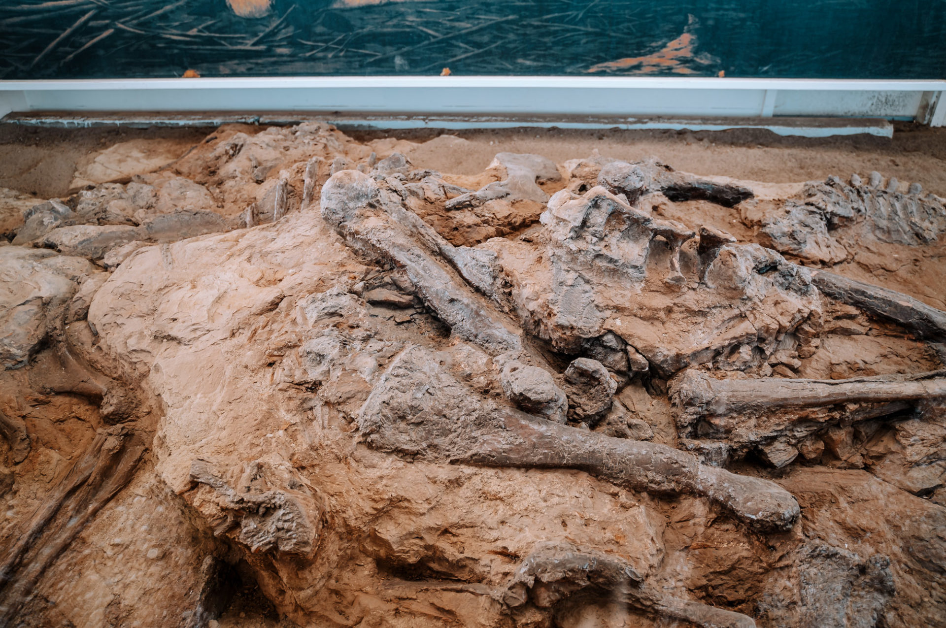 Fossil display along the scenic loop in Dinosaur Provincial Park