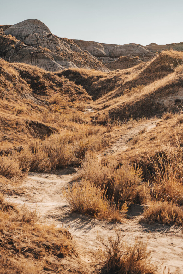 On the Coulee Viewpoint Trail in Dinosaur Provincial Park, Alberta