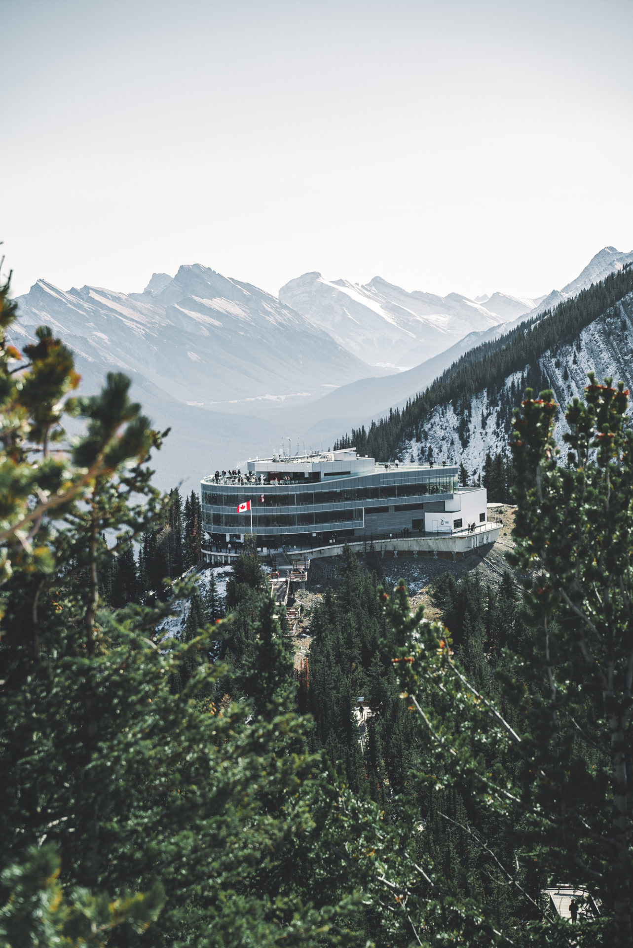 Canada Alberta Rockies Banff Gondola 04407