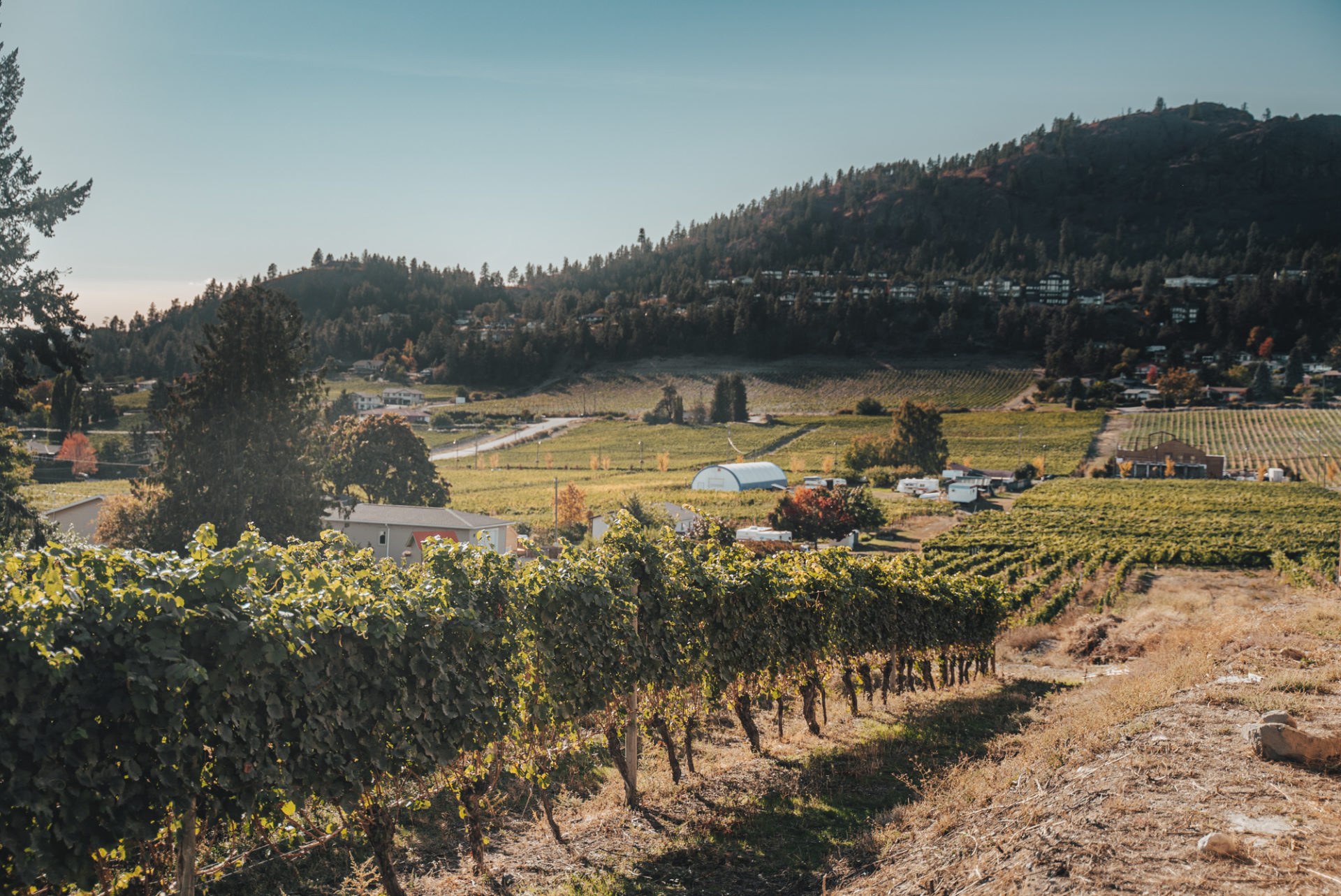 wineries in kelowna