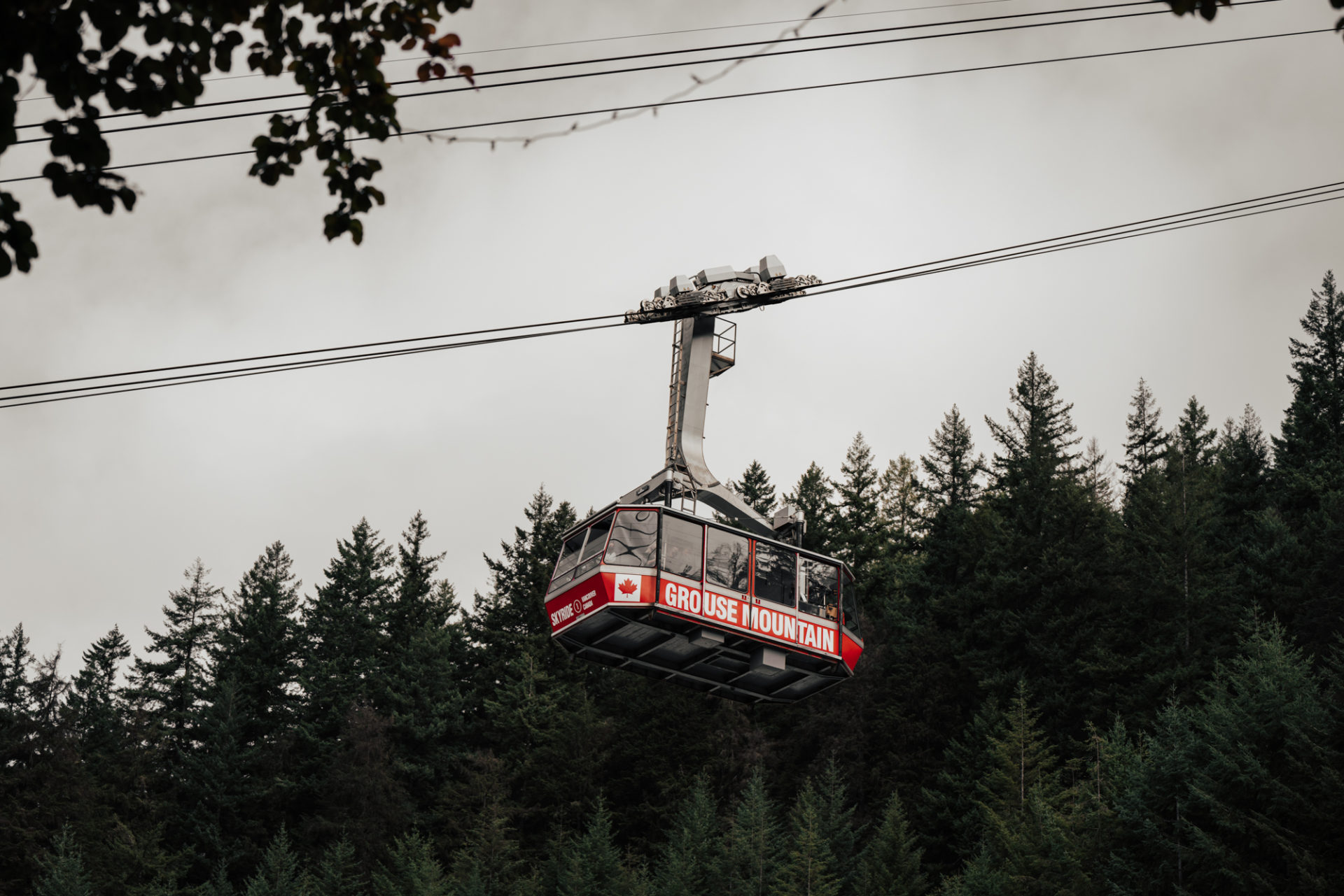 What to do in Vancouver: Grouse Mountain