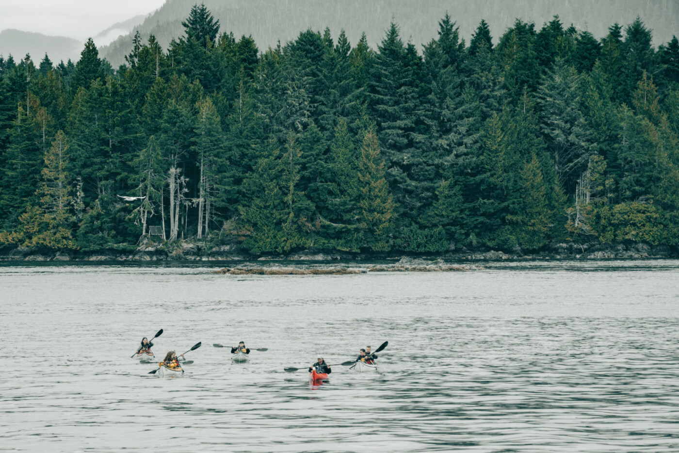 Canada BC Vancouver Island Tofino Remote Passages kayaking 03610