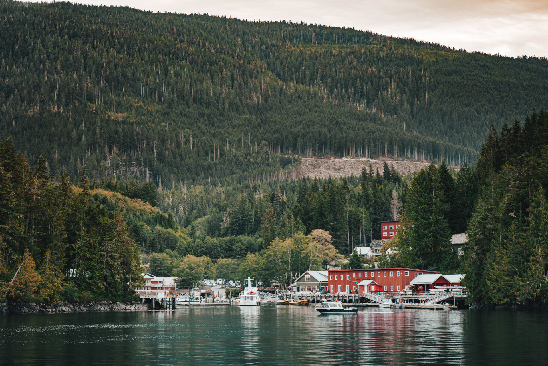 Vancouver Island Best Places to Visit for Whale Watching - Telegraph Cove