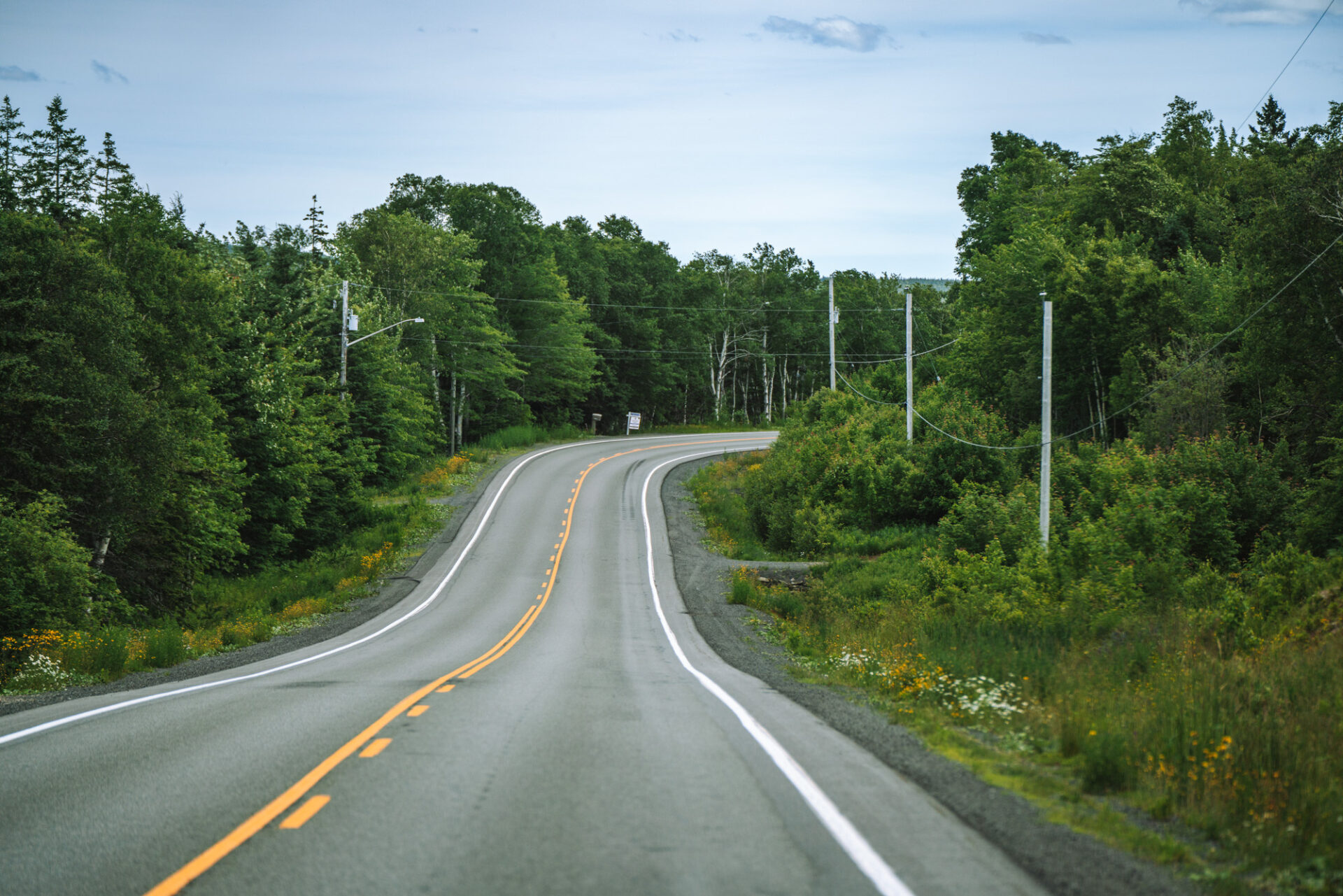 the road along the Cabot Trail