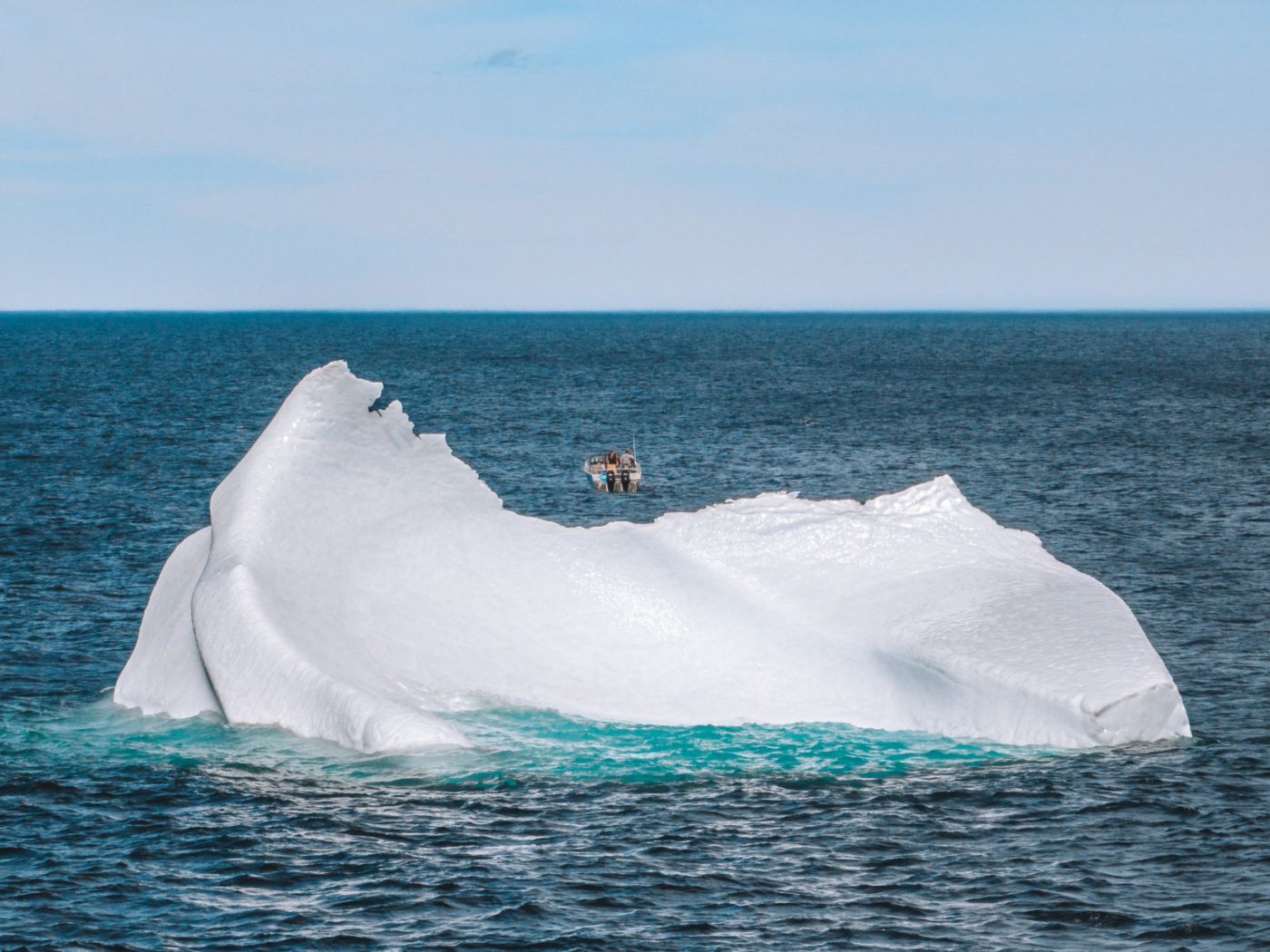 Iceberg viewing with Hare Bay Adventures