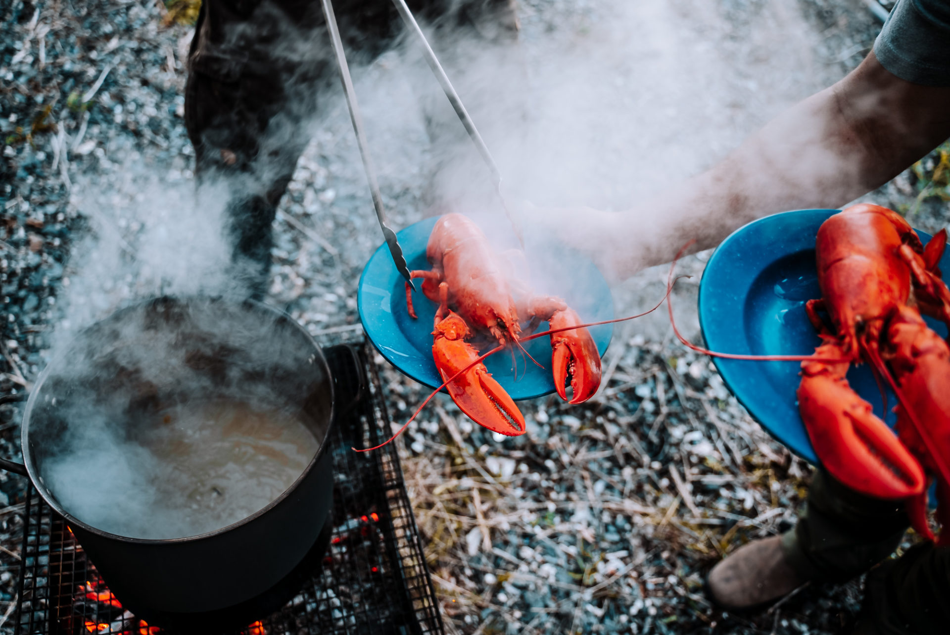 Traditional lobster boil on the beach with Hare Bay Adventures