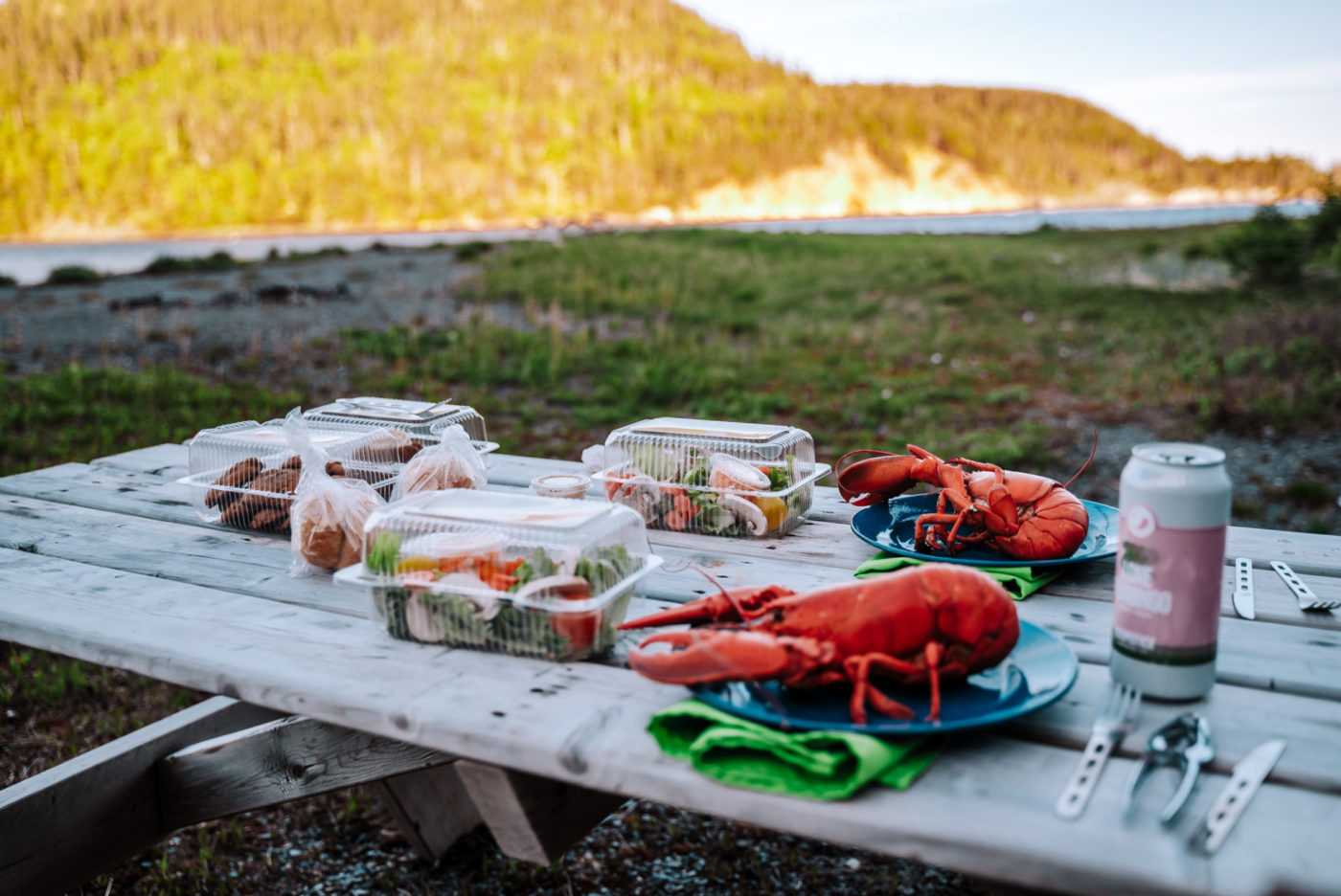 Canada Central Newfoundland Hare Bay Adventures lobster picnic 09923