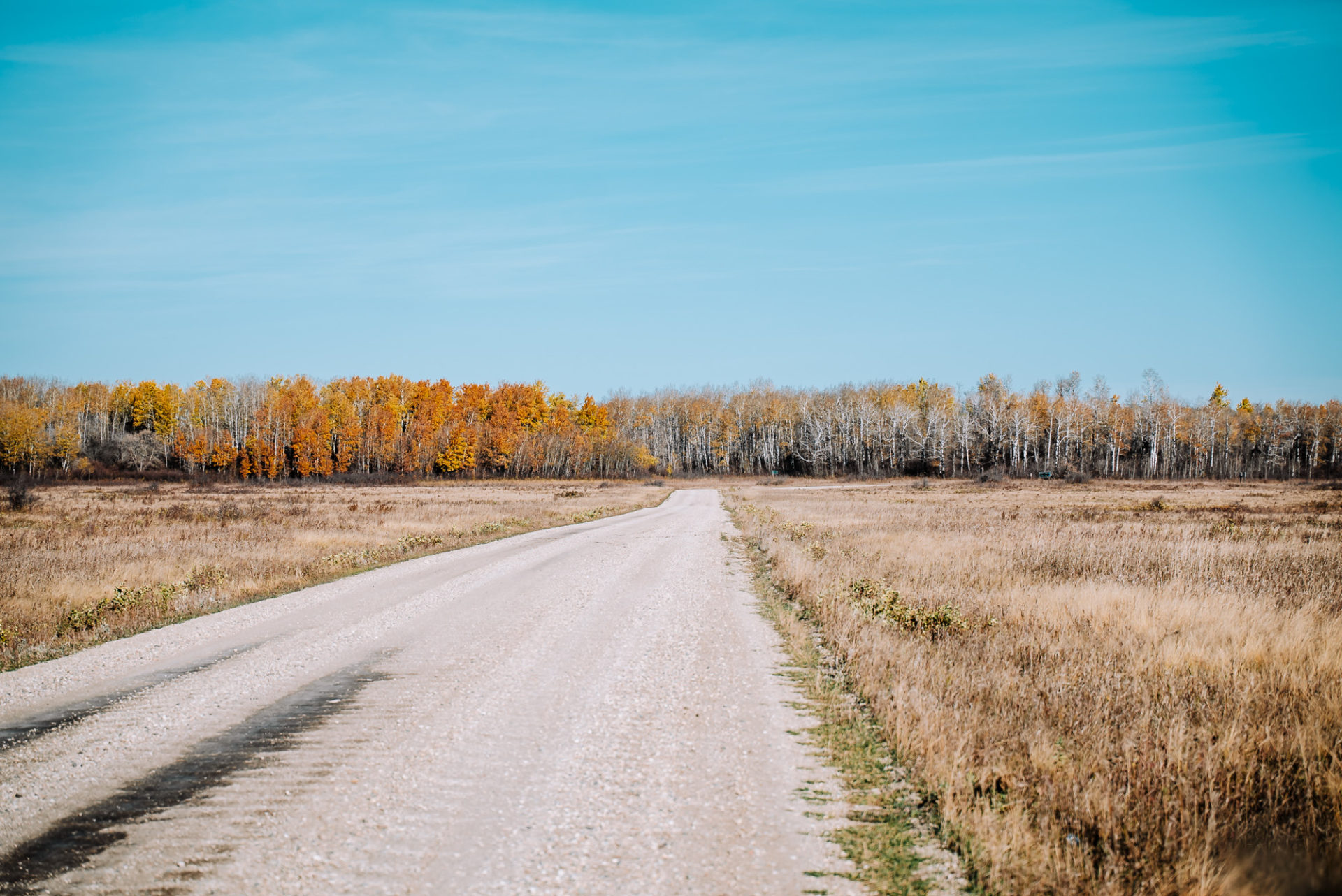 Driving to Riding Mountain National Park