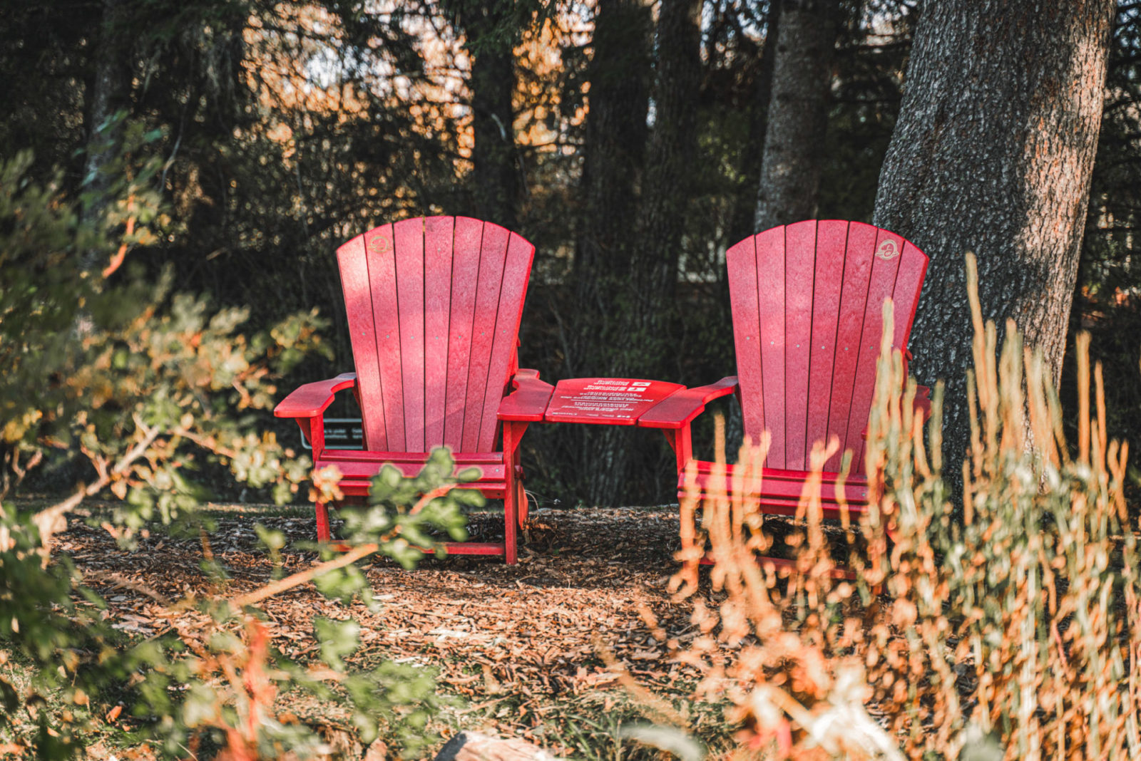 Canada Manitoba Riding Mountain National Park red chairs 07157