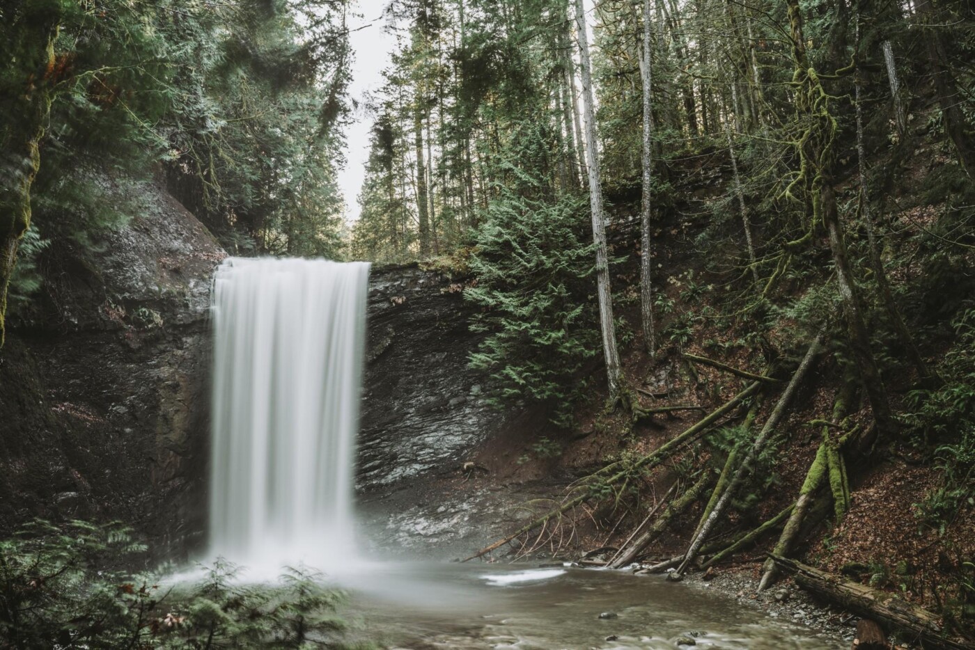 Things to do near Nanaimo: Ammonite Falls