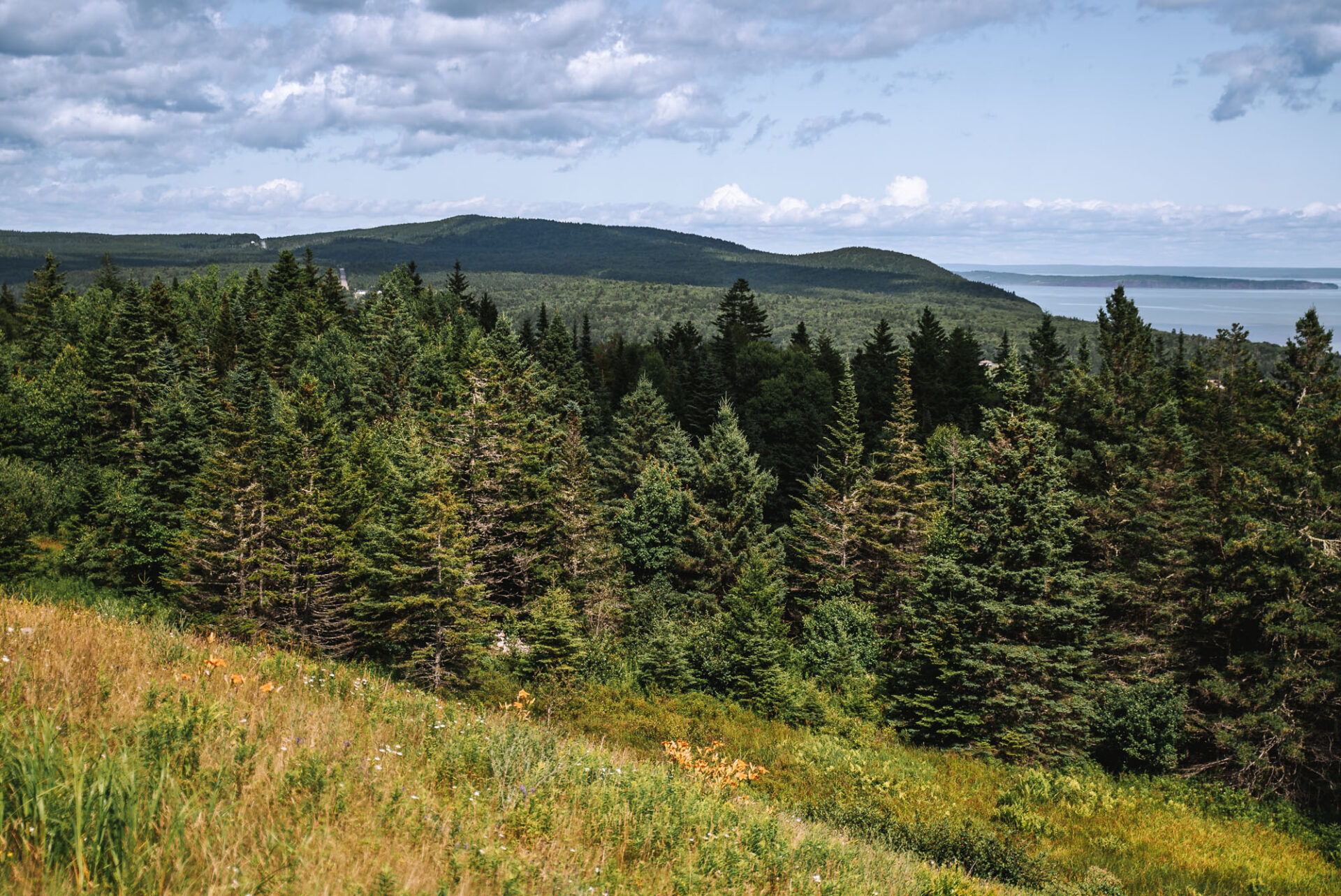 Fundy National Park