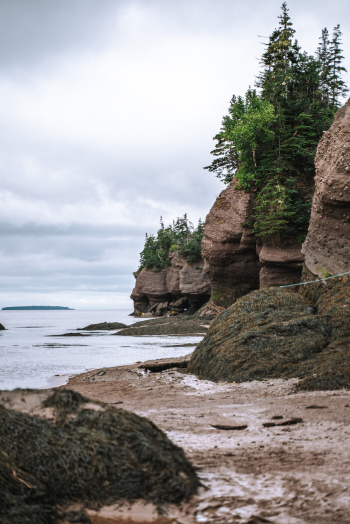 Canada New Brunswick Hopewell Rocks 01688