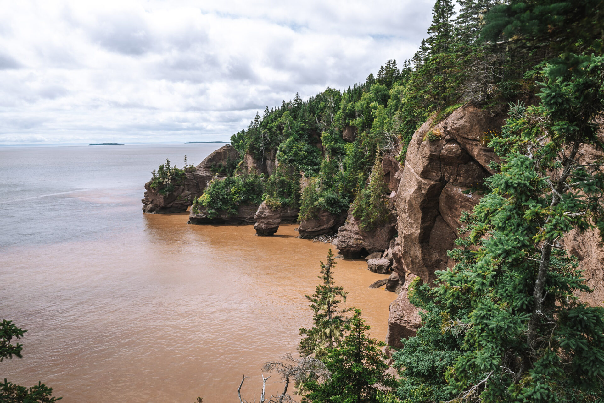 new brunswick things to do