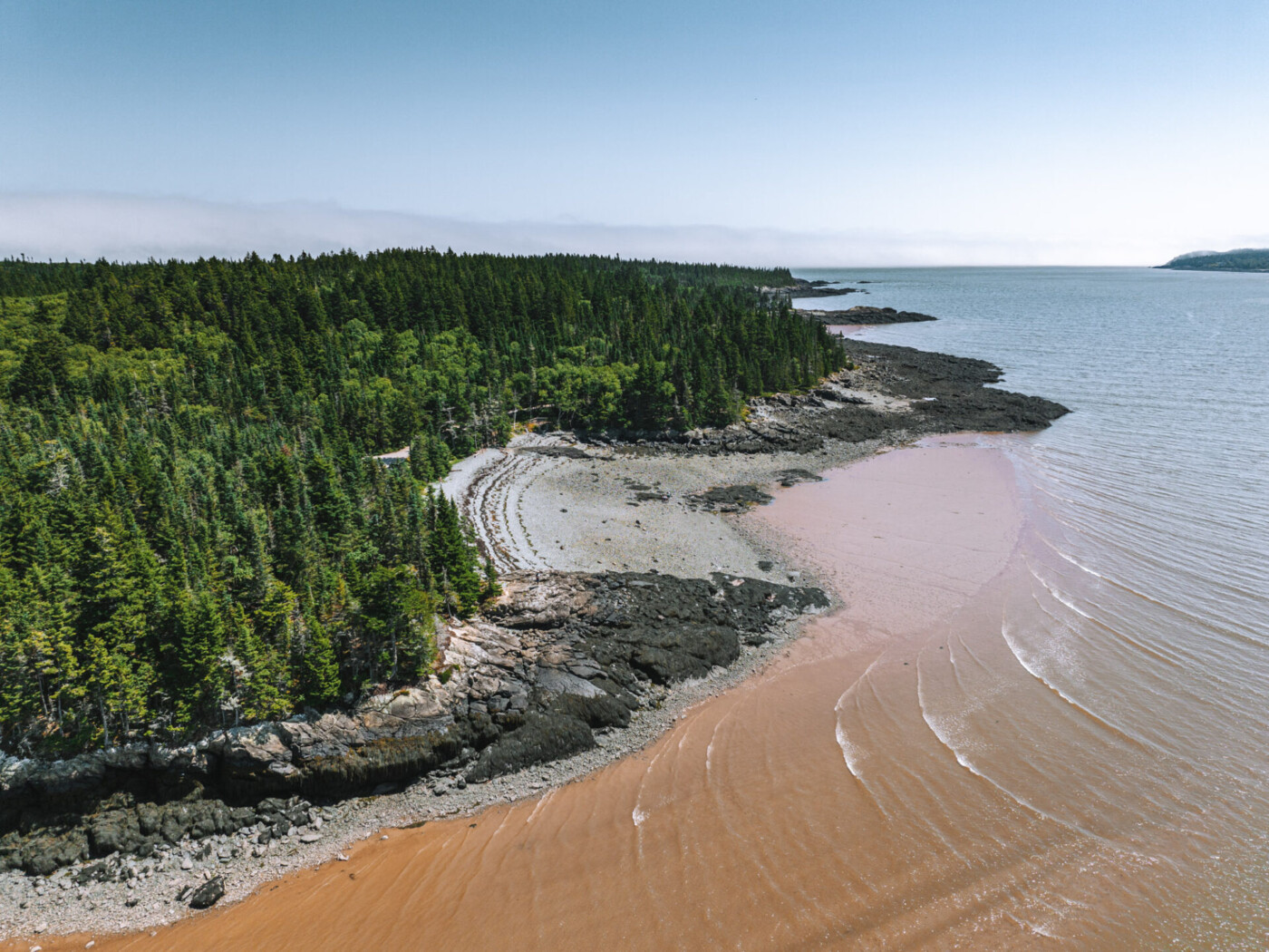 Canada New Brunswick Saint John Irving Nature Park 0975