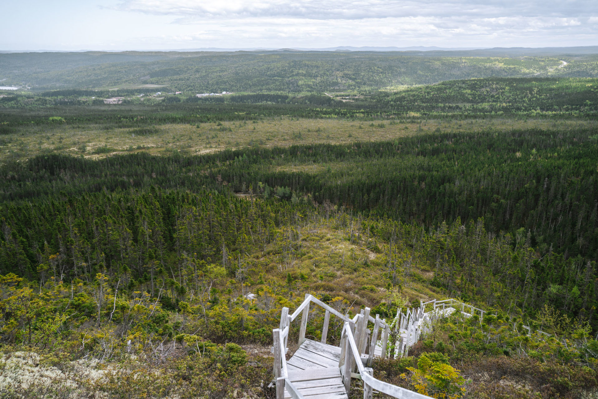 Canada Newfoundland Alexander Murray Trail hike 02162