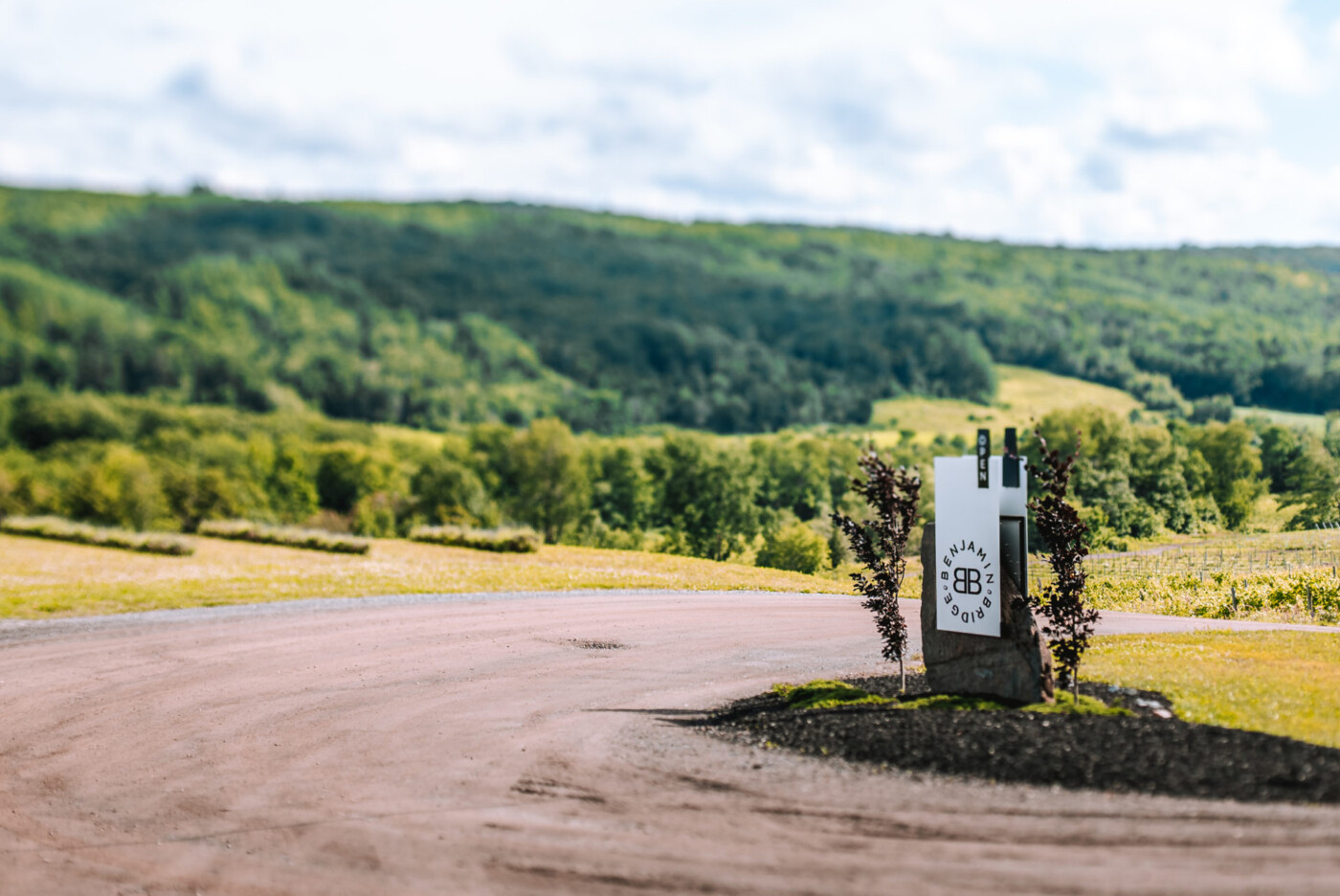 Canada Nova Scotia Annapolis Valley Wolfville Benjamin Bridge winery 00747