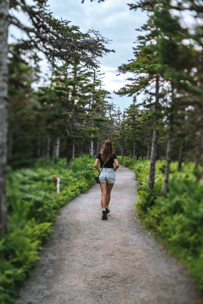 Canada Nova Scotia Cabot Trail Cape Breton National Park Skyline trail Oksana 01045