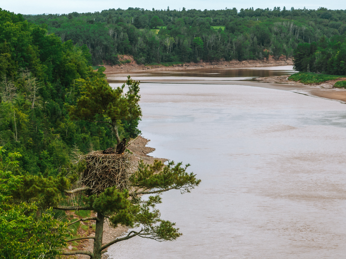 Shubenacadie River in Nova Scotia