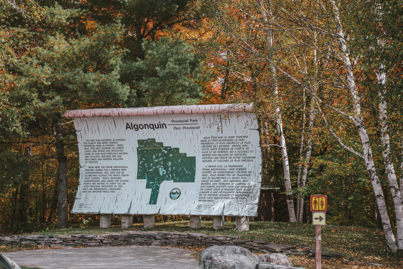 Canada Ontario Algonquin Provincial Park 06501