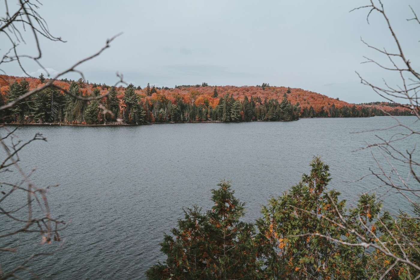 Canada Ontario Algonquin Provincial Park lake 06503