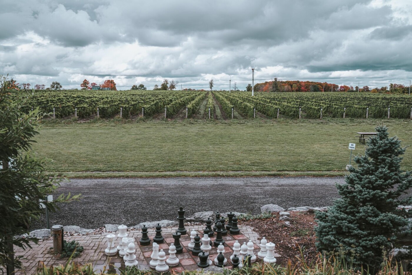 Prince Edward County wineries