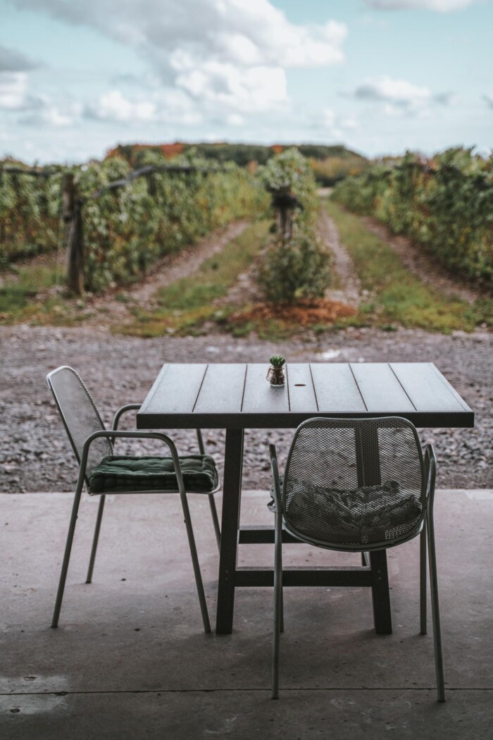 Prince Edward County wineries