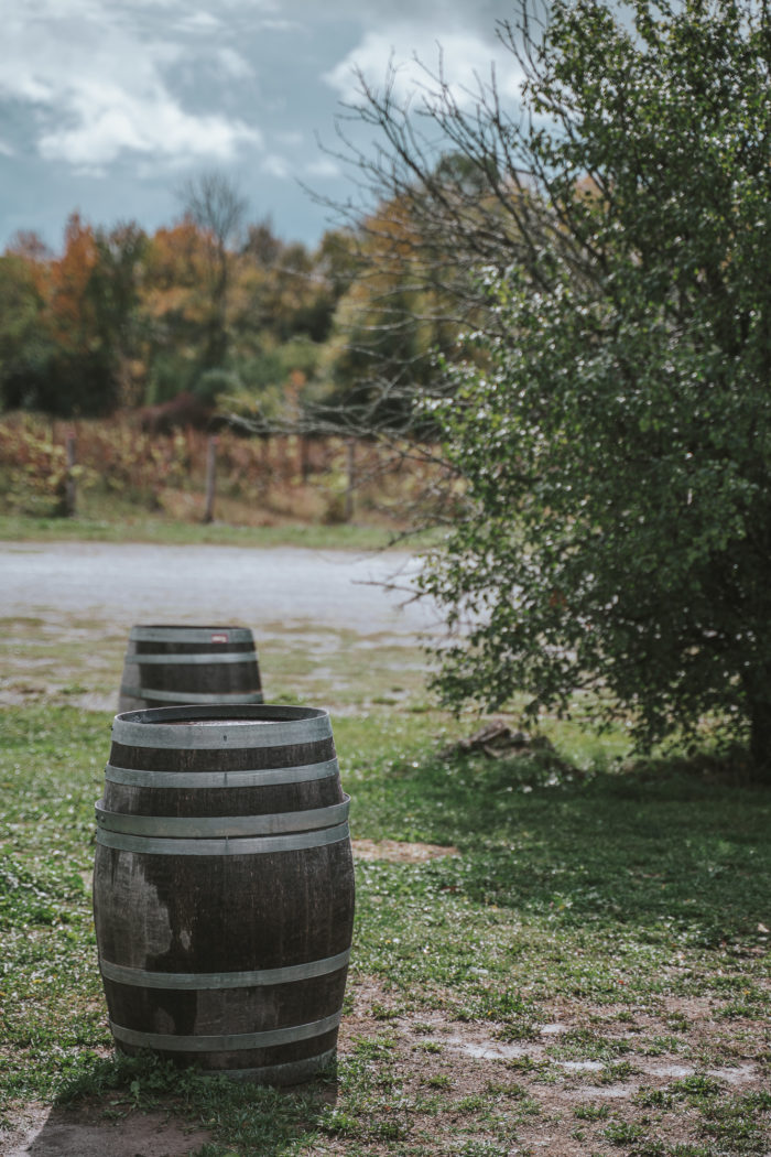 Prince Edward County wineries
