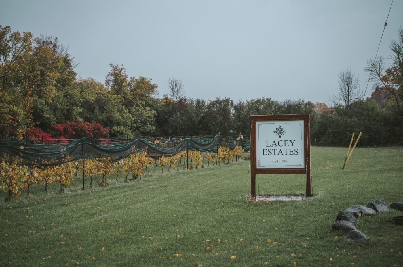 Prince Edward County wineries, Lacey Estates Winery