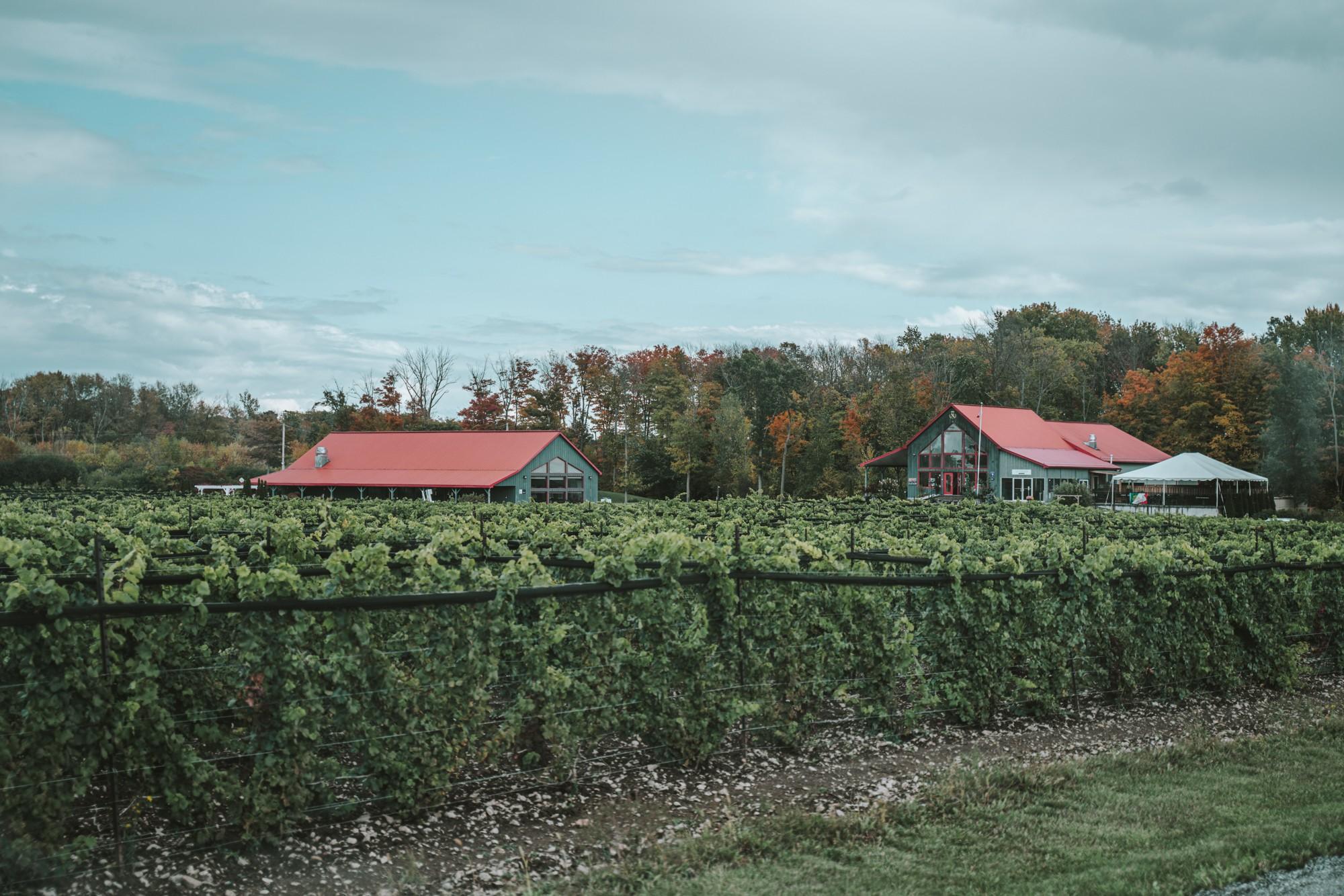 wine and beer tours prince edward county