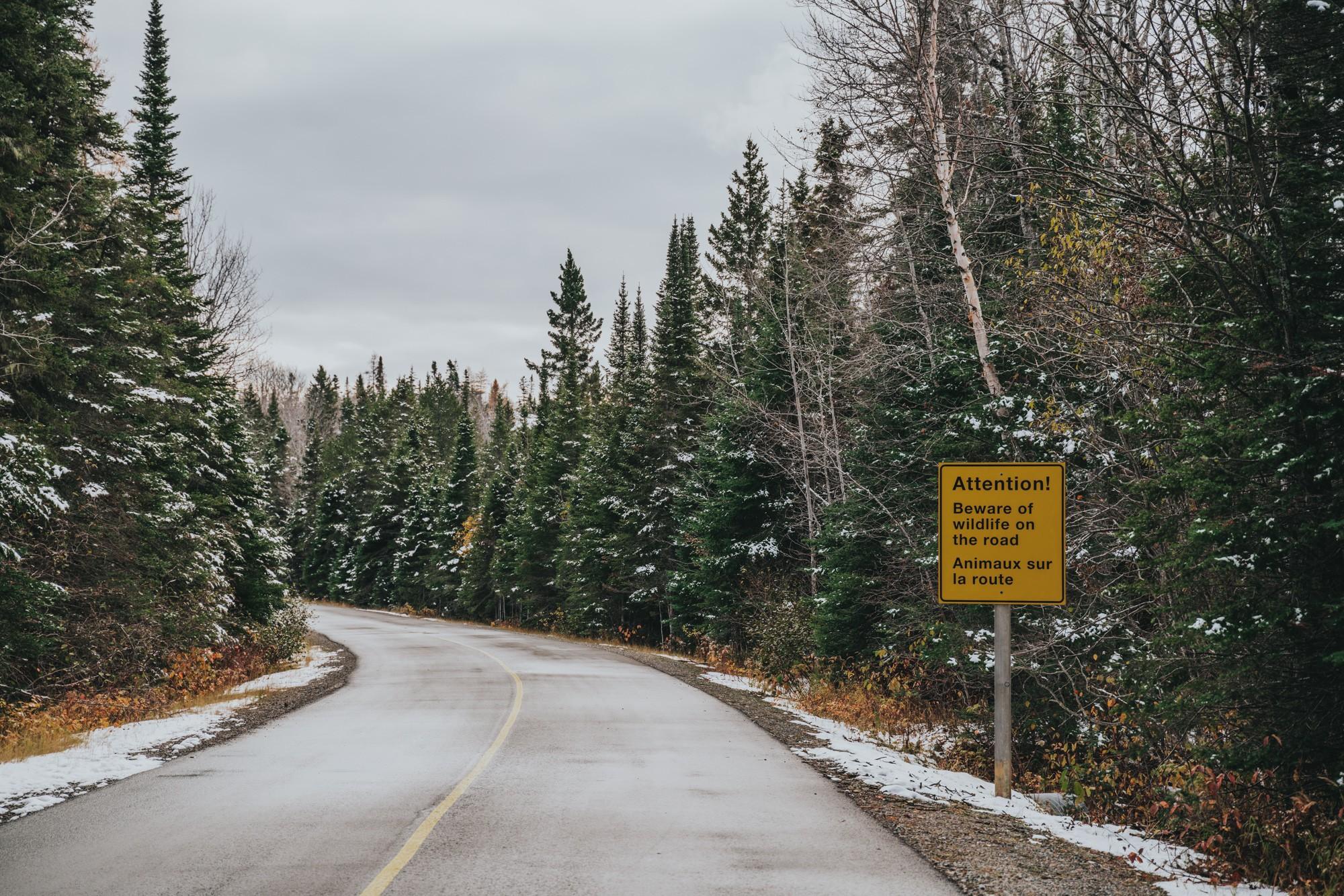 Road leading to Pukaskwa National Park