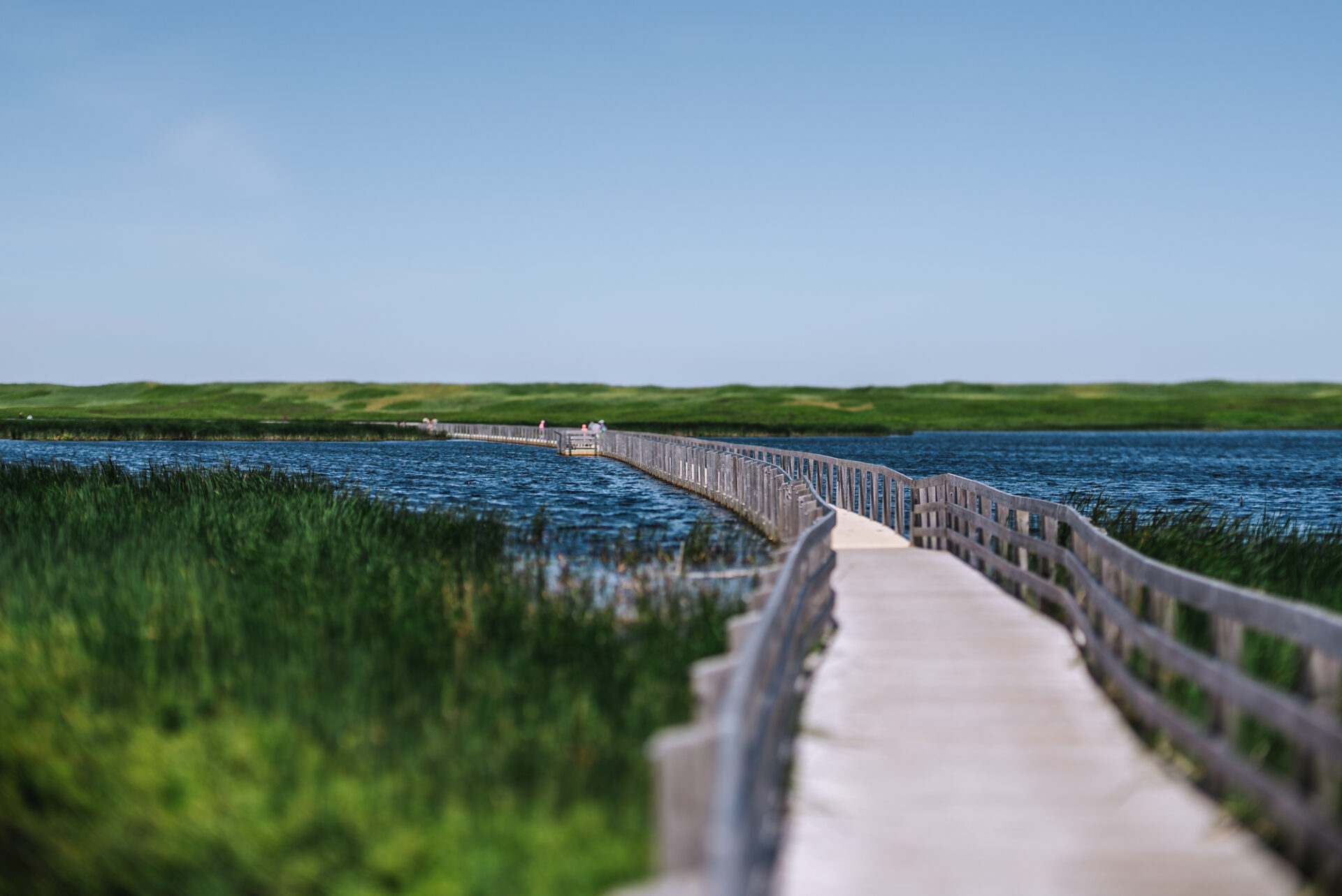 Canada PEI National Park Greenwich Dunes Trail 01160