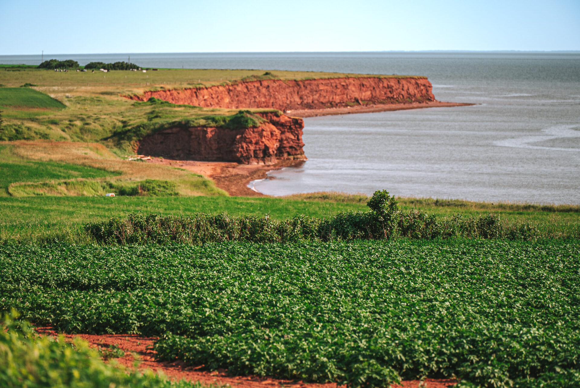 things to do in pei