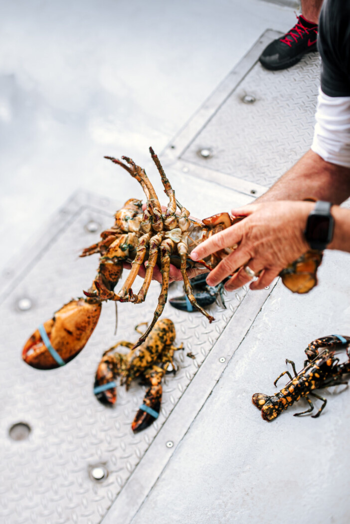 Canada PEI Tranquility Cove adventures lobsters 01264