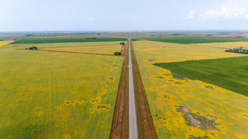 20+ Best Things to do in Saskatchewan, Canada 