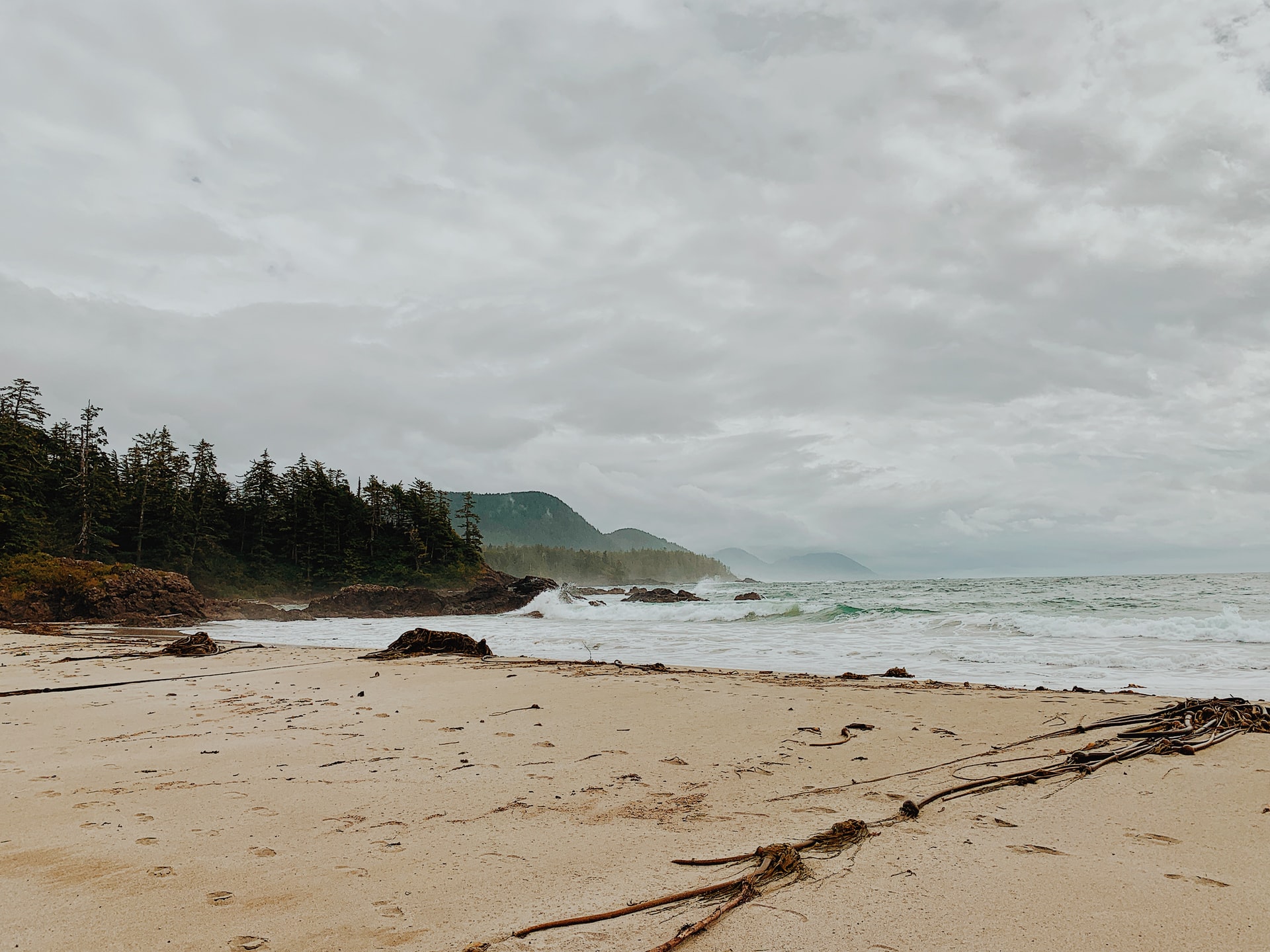 Cape Scott provincial park vancouver island canada