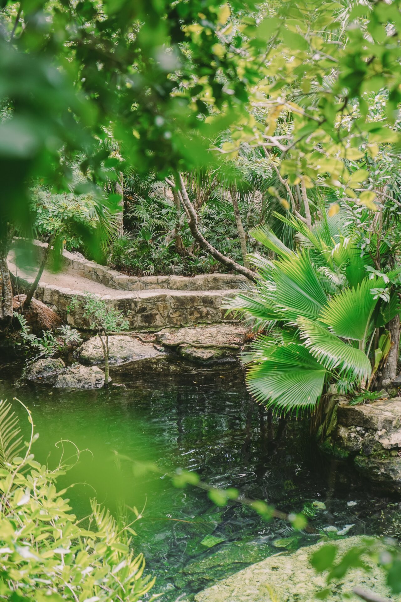 cenotes merida yucatan